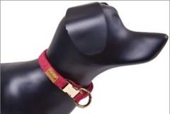 Dubex G-Dog Köpek Boyun Tasması Pembe S-M 27-44 Cm 15 Mm