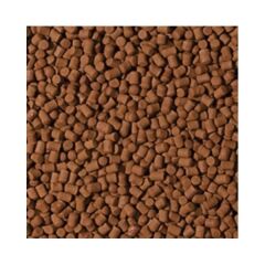 Tropical Food For Sterlet Havuz Balıkları için Granül Yem 1000 Ml