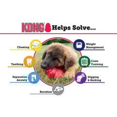 Kong Classic Ödül Hazneli Köpek Oyuncağı Medium 9 Cm