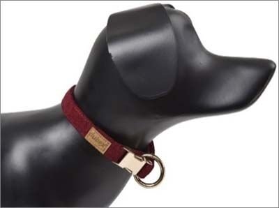 Dubex G-Dog Köpek Boyun Tasması Bordo S-M 27-44 Cm 15 Mm
