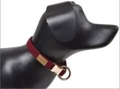 Dubex G-Dog Köpek Boyun Tasması Bordo S-M 27-44 Cm 15 Mm