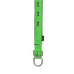 Actirex Neon Kemik Desenli Köpek Boyun Tasması Yeşil Medium 2.5x42-50 Cm