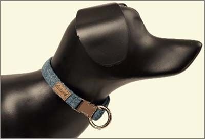 Dubex G-Dog Köpek Boyun Tasması Turkuaz S-M 27-44 Cm 15 Mm