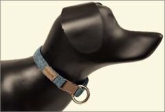 Dubex G-Dog Köpek Boyun Tasması Turkuaz S-M 27-44 Cm 15 Mm