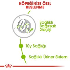 Royal Canin XS Adult Küçük Irk Yetişkin Köpek Maması 1,5 kg