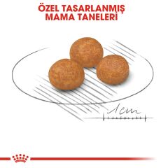 Royal Canin XS Adult Küçük Irk Yetişkin Köpek Maması 1,5 kg