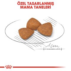 Royal Canin XS Ageing +12 Küçük Irk Yaşlı Köpek Maması 1,5 kg