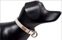 Dubex G-Dog Köpek Boyun Tasması Acık Gri M-L 35-56 Cm 20 Mm