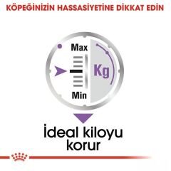 Royal Canin Sterilised Pouch Konserve Köpek Maması 1 Adet 85 Gr