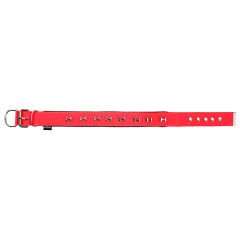 Actirex Neon Kemik Desenli Köpek Boyun Tasması Kırmızı Large 3x47-55 Cm