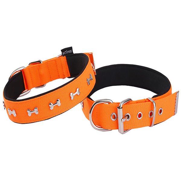 Actirex Neon Kemik Desenli Köpek Boyun Tasması Turuncu Large 3x47-55 Cm