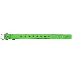 Actirex Neon Kemik Desenli Köpek Boyun Tasması Yeşil Large 3x47-55 Cm
