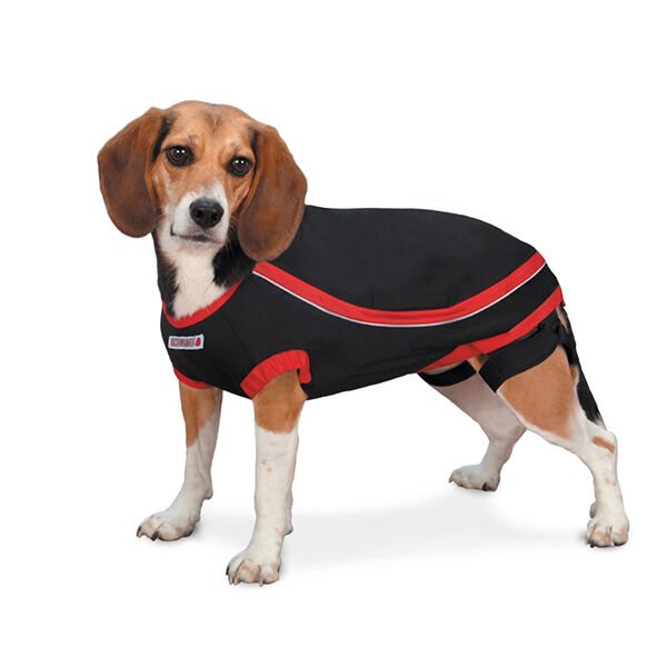 Kong Anksiyete Kaygı Giderici Köpek Elbisesi Xlarge