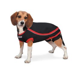 Kong Anksiyete Kaygı Giderici Köpek Elbisesi Xlarge