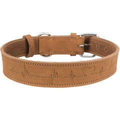 Trixie Tokalı Kalın Deri Köpek Boyun Tasması Kahverengi Xlarge 40x55-65 Cm