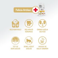 Felicia Düşük Tahıllı Tavuklu HypoAllergenic Kısırlaştırılmış Yetişkin Kedi Maması 2 kg
