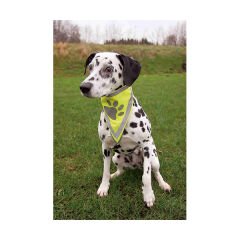 Trixie Köpek Bandanalı Tasma Medium 29-42 Cm