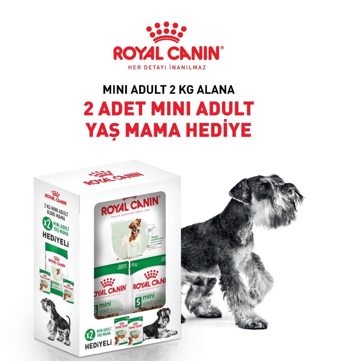 Royal Canin Mini Adult Küçük Irk Yetişkin Köpek Maması 2 Kg + 2 Adet Pouch Hediyeli