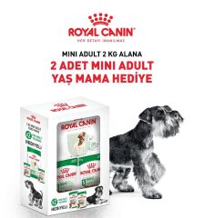 Royal Canin Mini Adult Küçük Irk Yetişkin Köpek Maması 2 Kg + 2 Adet Pouch Hediyeli