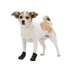 Trixie Köpek Yürüyüş Botu 2 Adet Xsmall Siyah