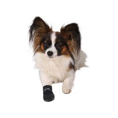 Trixie Köpek Çorabı Neopren 2 Adet Siyah Xxxlarge