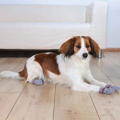 Trixie Köpek Çorabı Kaymaz 2 Adet Small/Medium Gri