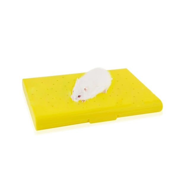 Carno Kemirgen Hamster Yatağı Soğutucu Buz Torbalı 14x10x1 Cm
