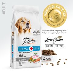 Felicia Somon Balıklı  Düşük Tahıllı Hipoalerjenik Yetişkin Köpek Maması 15 kg