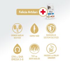 Felicia Somon Balıklı Düşük Tahıllı Hipoalerjenik Kedi Maması 2 kg