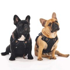 M-Pets Hıkıng Reflektörlü Soft Köpek Göğüs Tasması Turuncu S