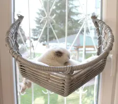 Lepus Hilal Vantuzlu Cam Kedi ve Küçük Irk Köpek Yatağı Mix