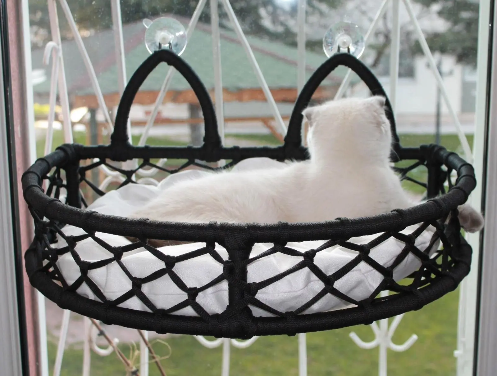 Lepus Cam Güzeli Vantuzlu Kedi Kedi ve Küçük Irk Köpek Yatağı Mix