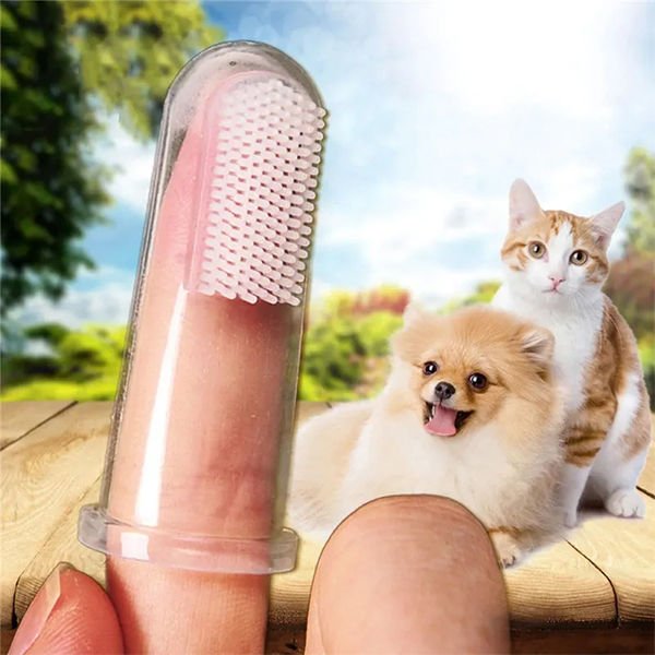 Wondi Dental Kedi ve Köpek Diş Temizleme Fırçası