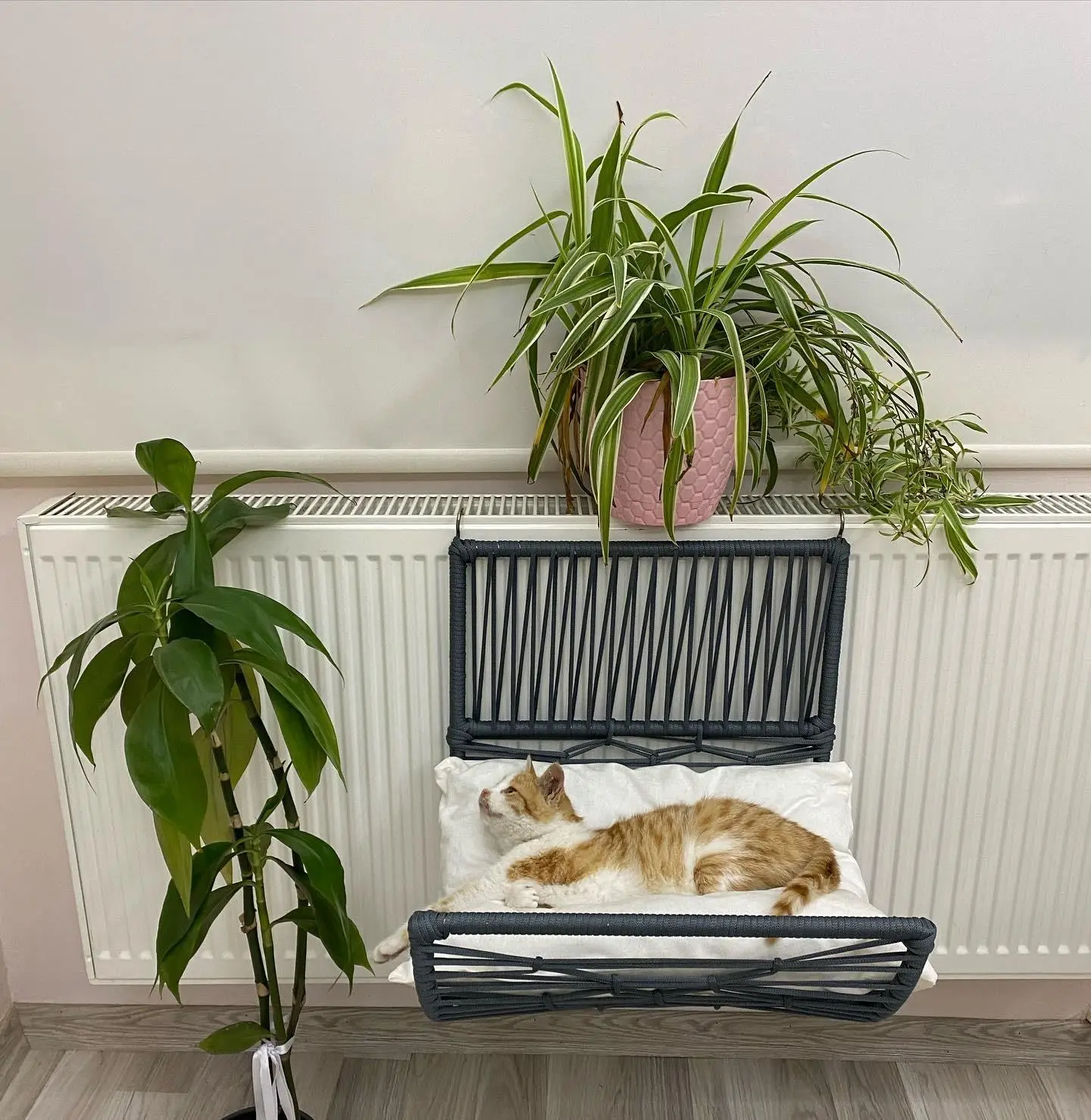 Lepus Yay Asmalı Petek Kedi ve Küçük Irk Köpek Yatağı Mix