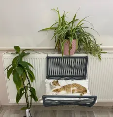 Lepus Yay Asmalı Petek Kedi ve Küçük Irk Köpek Yatağı Mix