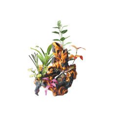 Dophin King Akvaryum Süsü Bitkili Yapay Kütük 23x20x10.5 Cm