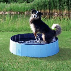 Trixie Dog Pool Köpek Havuzu 80x20 Cm