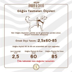 Cattie Havalı Dokuma Kedi Göğüs ve Gezdirme Takımı Medium Turuncu 1x25-35 Cm