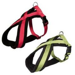 Pro Nutrition Protect Obesite Kilo Kontrolü için Yetişkin Köpek Maması 2 Kg