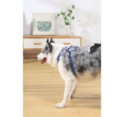 M-Pets Gentle Köpek Göğüs Tasması Mavi XS