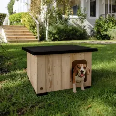 Doggie Barka Model Ahşap Köpek Kulübesi Large 54x88x64 Cm