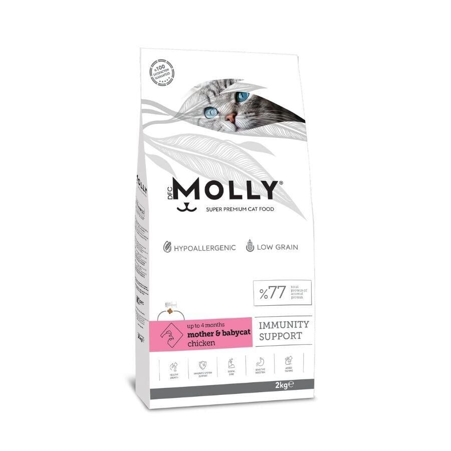 Molly Düşük Tahıllı Hypoallergenic Tavuklu Anne ve Yavru Kedi Maması 2 Kg