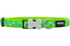 Red Dingo Lime Üzerine Turkuaz Yıldızlı Köpek Boyun Tasması 20mm