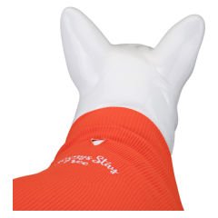 Lindo Dogs Always Stay Free Köpek Kıyafeti Tshirt Turuncu Beden 3