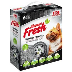 Pet Active Always Fresh Aktif Karbonlu Topaklanan Bentonite Kedi Kumu 6 Lt