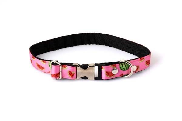 Petzz Karpuz Desenli Köpek Boyun Tasması 2x15-25 Cm