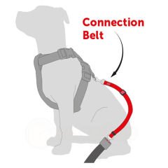 Flamingo Deri Araba İçin Köpek Emniyet Kemeri Tasması