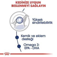 Royal Canin Maxi Adult Büyük Irk Yetişkin Köpekler İçin Parça Etli Konserve Mama 140 gr