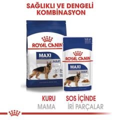 Royal Canin Maxi Adult Büyük Irk Yetişkin Köpekler İçin Parça Etli Konserve Mama 140 gr