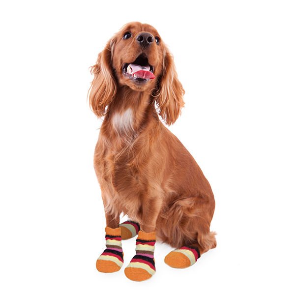 Karlie Köpek Ayakkabısı Large 2 Adet